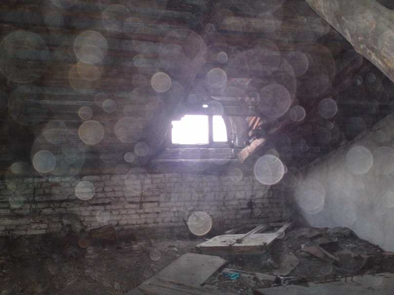 Inal Bediya фотография #33