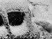 Сергій Манцулич фотография #48 (источник - https://vk.com/id84571735)