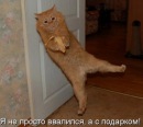 Іван Москаль фотография #23 (источник - https://vk.com/id132860259)