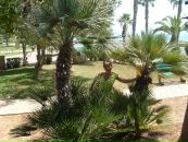 Фотография Игнатьевской Ирины