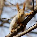 Фотография Ефимовой Ирины