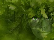 Фотография Шеральт Анастасии