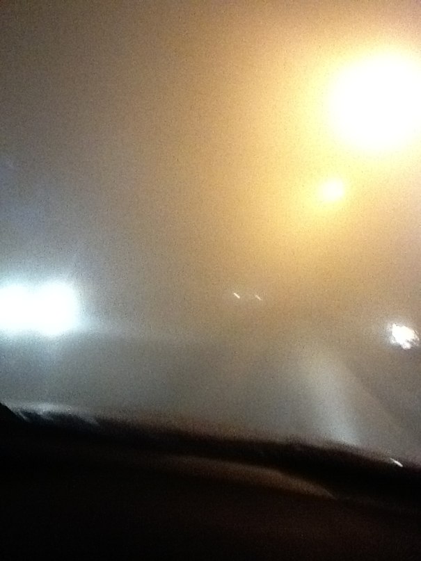 Dana Kudaibergen фотография #20