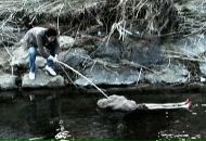 Фотография Зубатова Евгения