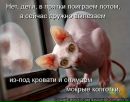 Фотография Смирновой Ольги
