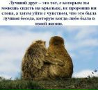 Інна Ковальчук фотография #40 (источник - https://vk.com/id8785983)