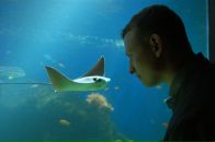 Фотография Бурдоноса Вадима