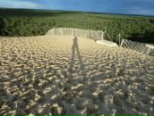 Фотография Радуды Софьи