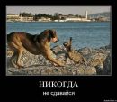Танцювальний-Клуб Магія-Танцю фотография #38 (источник - https://vk.com/id167617048)
