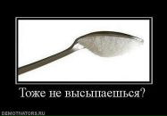 Фотография Шкурко Юлии