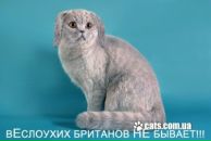 Фотография Солтановой Натальи