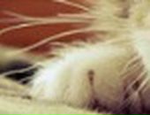 Яна Excale фотография #7 (источник - https://vk.com/id727315)