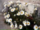 Фотография Плющёва Данила