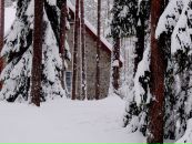 Andrei Ilyushenko фотография #15 (источник - https://vk.com/id510574)