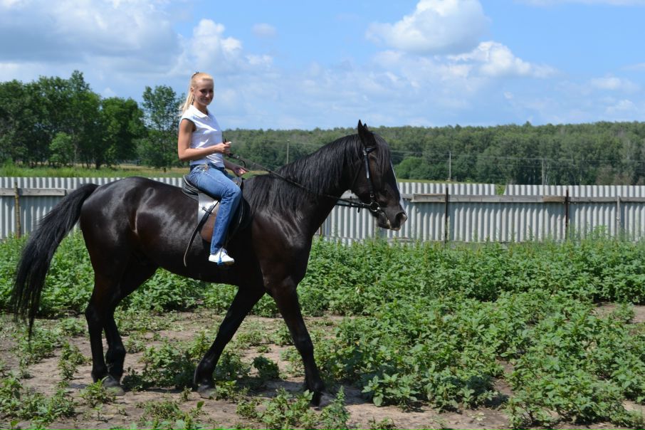 №7, Людмила Овсянникова, 36 лет, Орёл №7, Людмила Овсянникова, 36 лет, Орёл