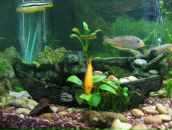 Андрій Ордаш фотография #13 (источник - https://vk.com/id28930375)