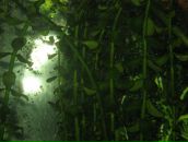 Андрій Ордаш фотография #1