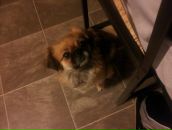 Andre Laskey фотография #30 (источник - https://vk.com/id3967924)