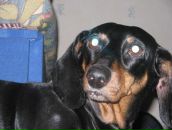 Фотография Мухамеджанова Марата