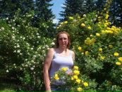 Фотография Лялиной Елены