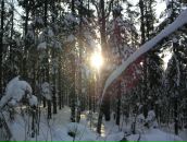 Фотография Ардашова Николая