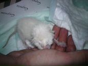 Фотография Подболотова Владимира