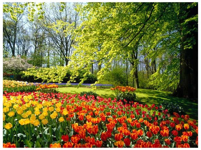 Vesna By фотография #2