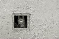 Фотография Клипп Дмитрий