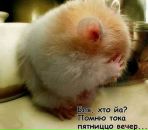 Віталік Ступінський фотография #21 (источник - https://vk.com/id51987355)