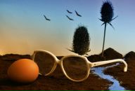 Фотография Максимовича Алексея