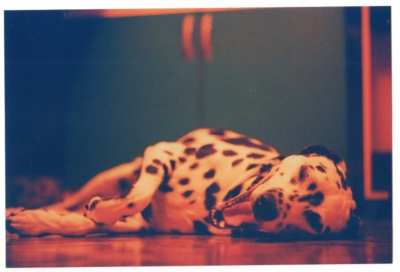 Валя Чеернот фотография #27