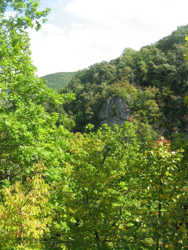 Дмитрий Вальковец фотография #44