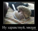 Вася Свінтозельський фотография #23 (источник - https://vk.com/id134880591)