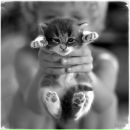 Фотография Трофимовой Людмилы