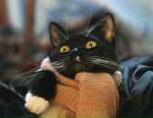 Фотография Аникиной Марии