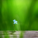 Фотография Искаковой Сауле