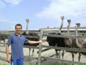 Володя Кучма фотография #46 (источник - https://vk.com/id26106889)