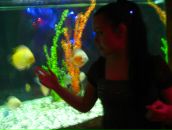 Фотография Репич Наташи