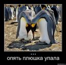 Фотография Сперанского Владимира