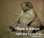 Фотография Кудрявцева Андрея