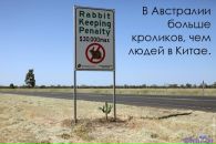 Стас Гребиньский фотография #8 (источник - https://vk.com/id85393011)