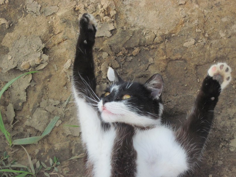 Наталья Гринёва фотография #18