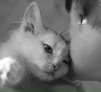 Фотография Сафиной Земфиры