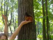 Фотография Деменко Алины