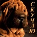 Іра Дуда фотография #24 (источник - https://vk.com/id62114756)