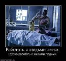 Андрій Вергелес фотография #42 (источник - https://vk.com/id15784748)