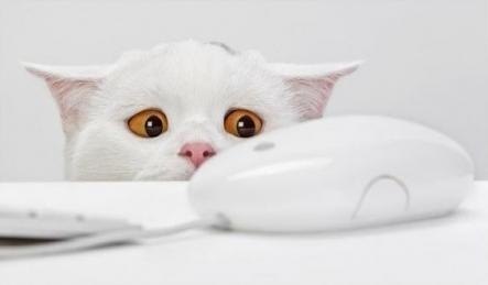 №9, Николай Корчагин №9, Николай Корчагин