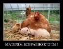 Сергей Ворон фотография #48 (источник - https://vk.com/id92036914)