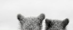 Анна Надеева фотография #2 (источник - https://vk.com/id534983)