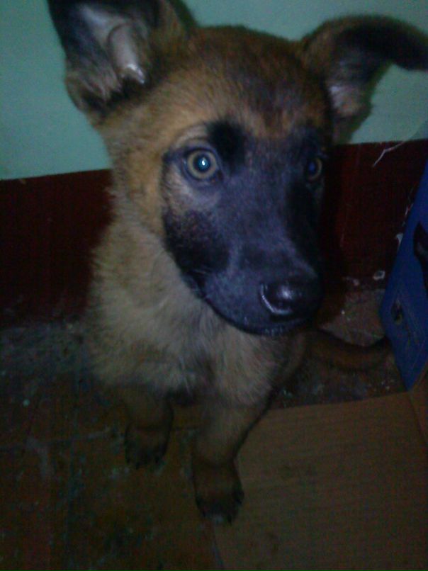 Роман Ситников фотография #49